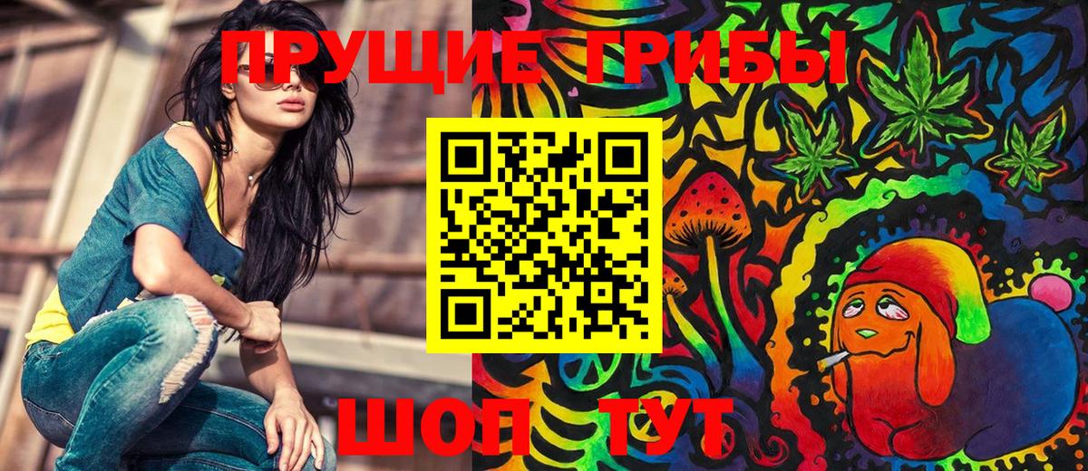 Псилоцибиновые грибы Cubensis Киреевск